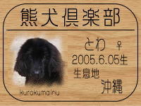 doggy����̂a�k�n�f�ւf�n�I